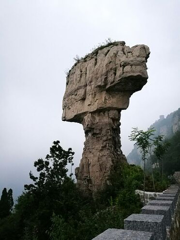 "_轿顶山"的评论图片