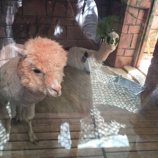 湘湖国家旅游度假区-萧山少儿公园