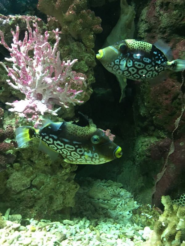 湘湖国家旅游度假区-萧山少儿公园