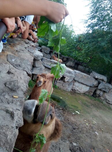 京城水系皇家御河