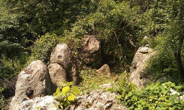 星星竹海风景区