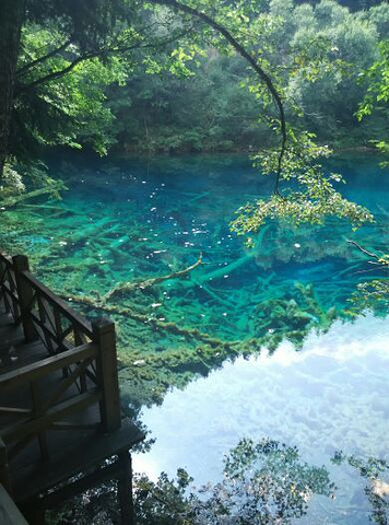 九寨沟风景区"的评论图片