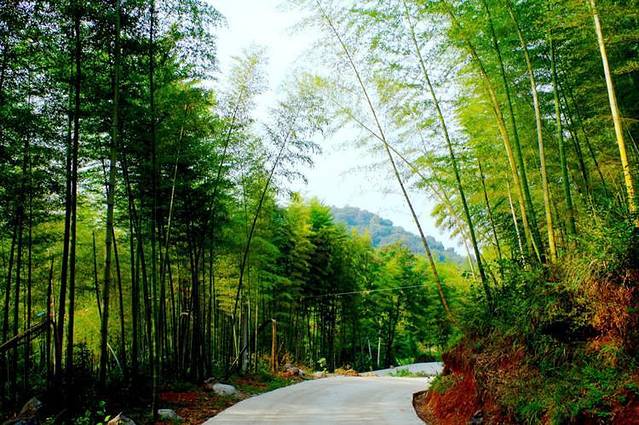 星星竹海风景区