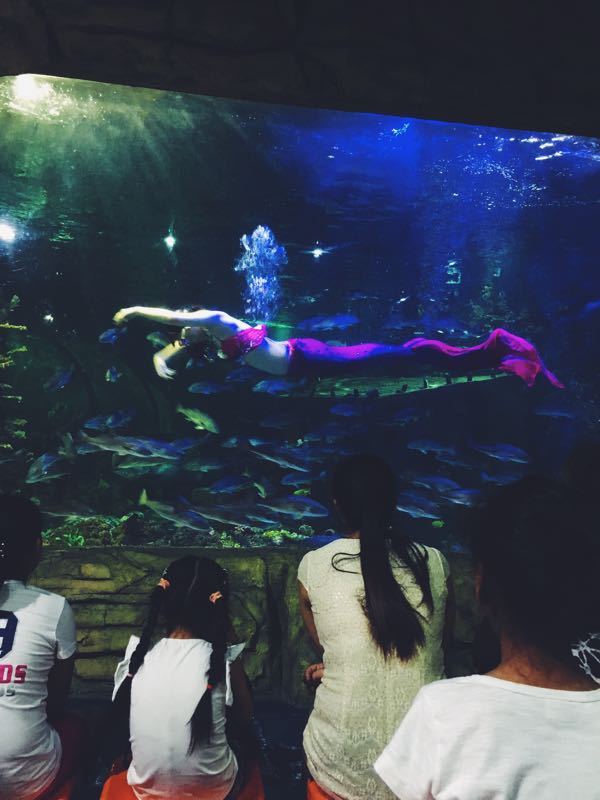 极地海洋馆(江南摩尔店)