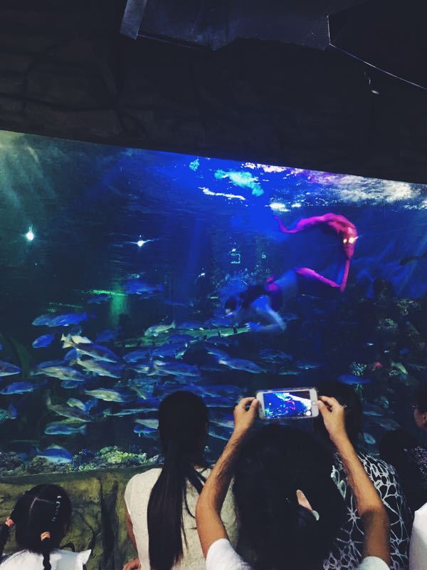 极地海洋馆(江南摩尔店)