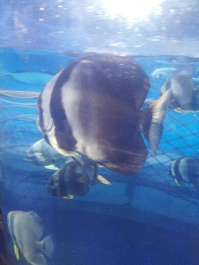 阜阳海洋文化科技馆