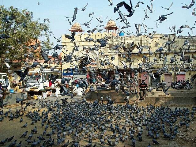 简塔·曼塔天文台