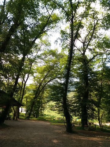 "下次游玩还在去哪而网站购票……。夏天就要去漂流，很刺激，很好玩哦_青龙双河漂流"的评论图片