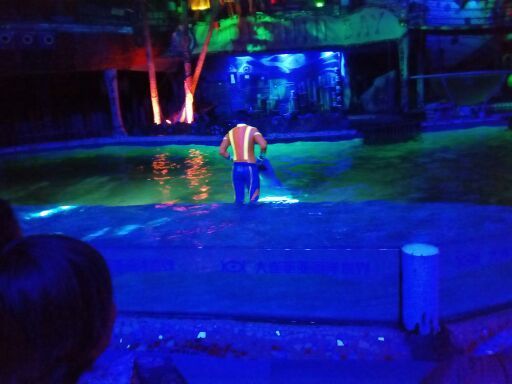 星海湾广场观光快艇