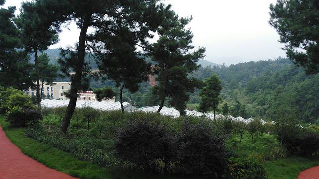 香纸沟枫叶谷旅游度假区