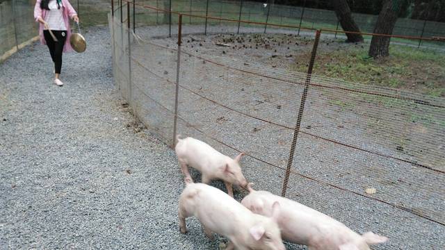 香纸沟枫叶谷旅游度假区
