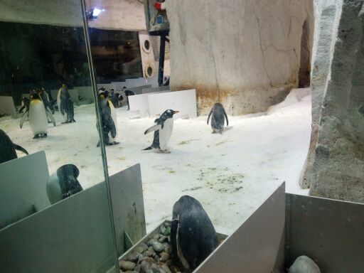 星海湾广场观光快艇