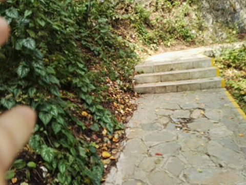 秦岭天竺山旅游景点攻略图