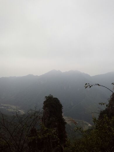 广西大瑶山国家级自然保护区