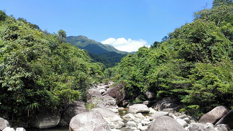 东兴屏峰雨林公园旅游景点攻略图