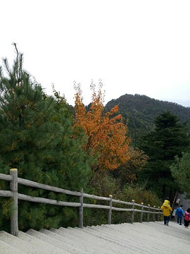 秦岭天竺山旅游景点攻略图