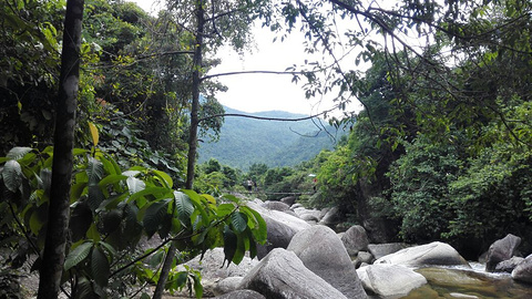 东兴屏峰雨林公园旅游景点攻略图