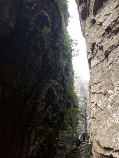 广西大瑶山国家级自然保护区