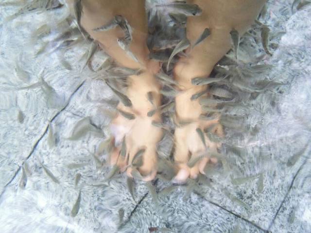 中洋仙泉酒店温泉