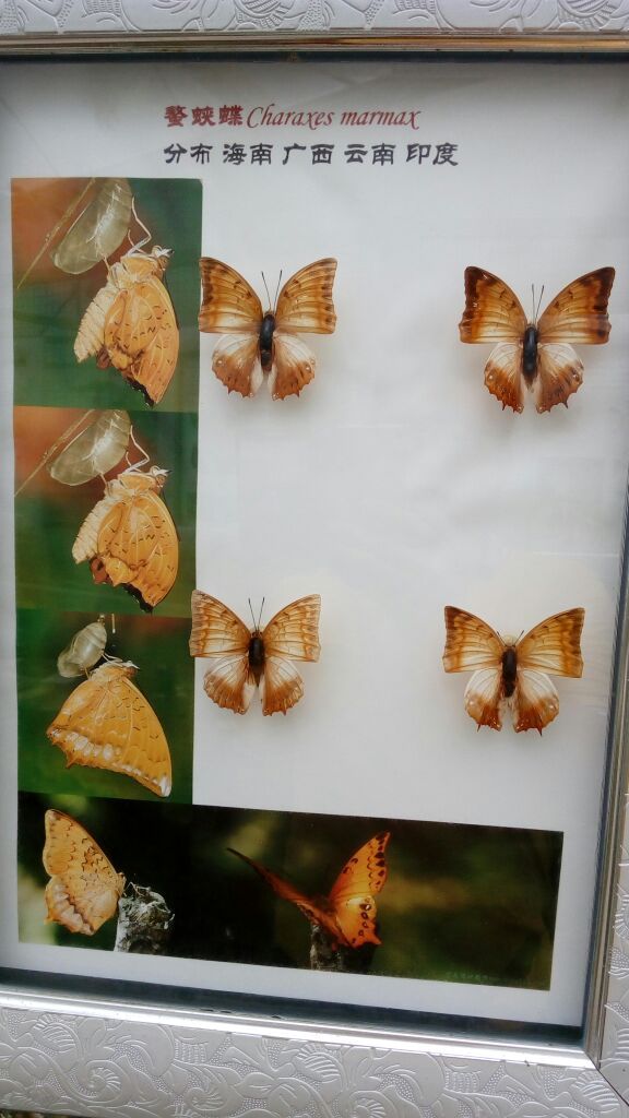 九鲤溪峡谷竹筏漂流