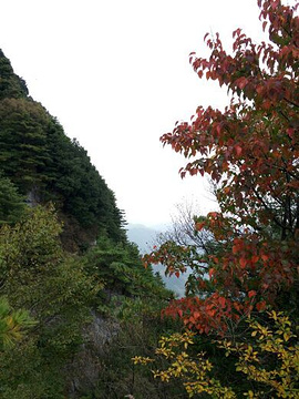 秦岭天竺山旅游景点攻略图