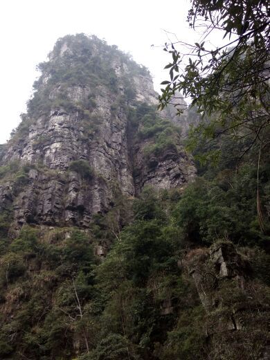 广西大瑶山国家级自然保护区