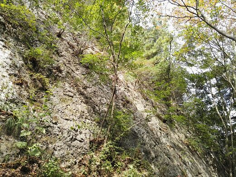 秦岭天竺山旅游景点攻略图