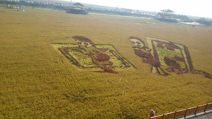 "...玩完了，到第二个景区关门了，白花了140元钱，还花500元冤枉钱雇了辆出租车，太坑人了，不合理_鼎翔苇海蟹滩"的评论图片