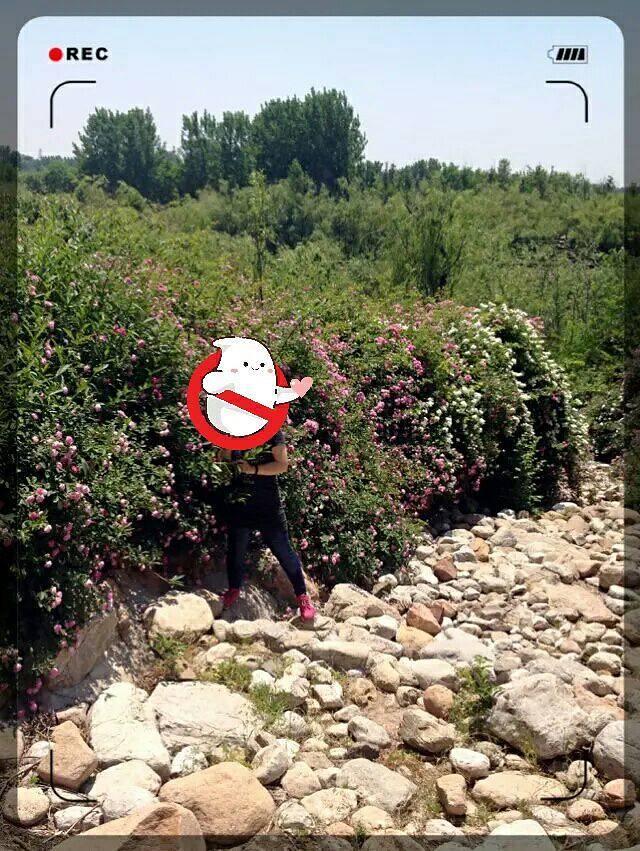 白浪沙滩湿地公园