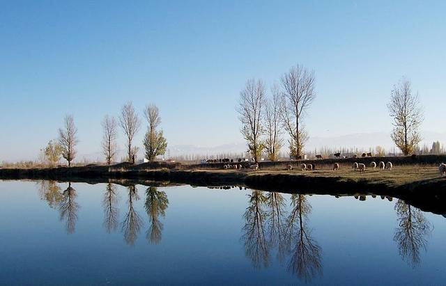 伊犁河旅游风景区