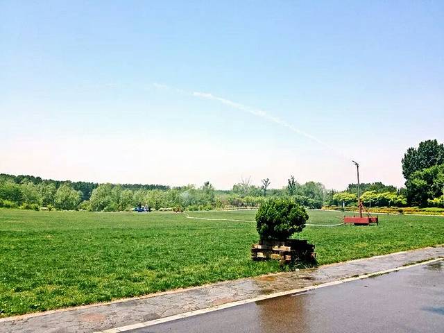 白浪沙滩湿地公园