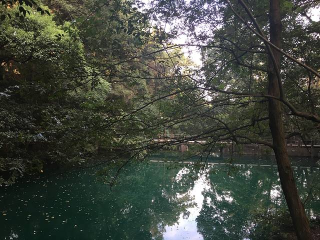 浙江大学(紫金港校区)