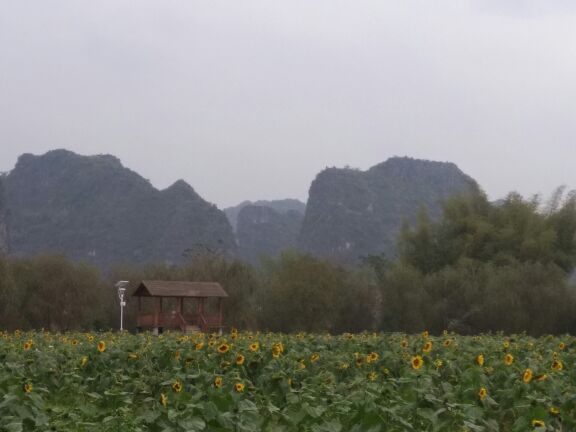 上林霞客桃源壮乡旅游度假区