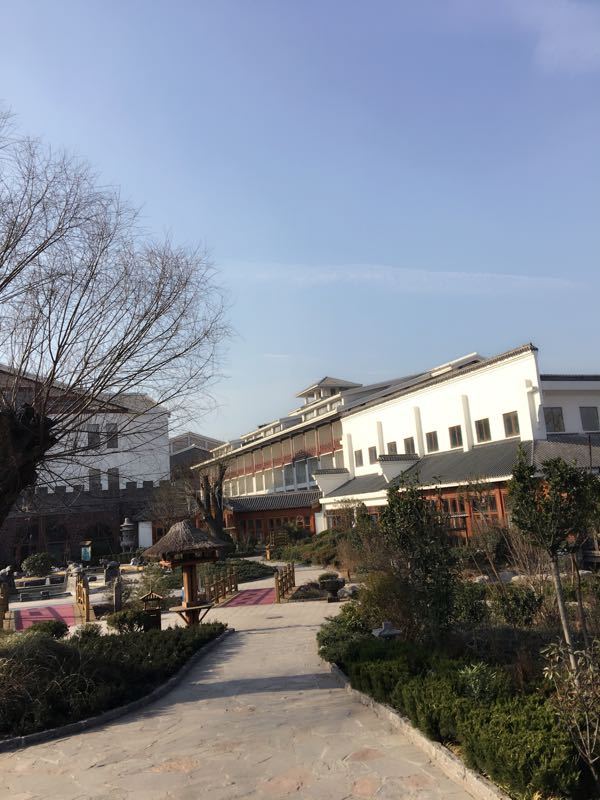 黄河故道森林公园