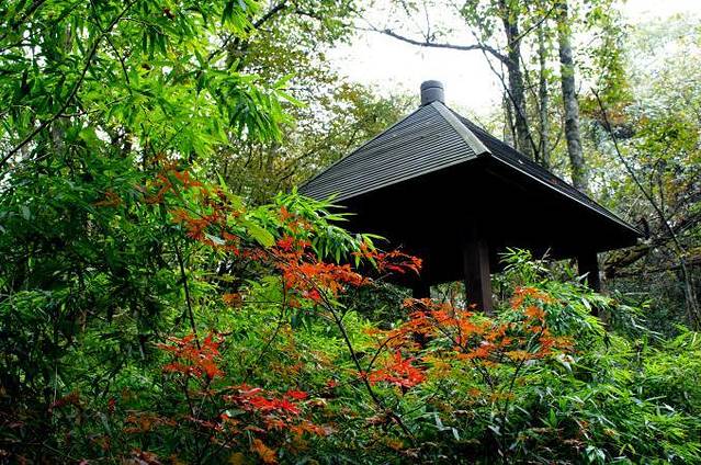 鸡公山森林公园