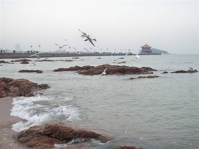 青岛滨海旅游步行道