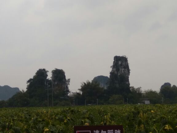 上林霞客桃源壮乡旅游度假区