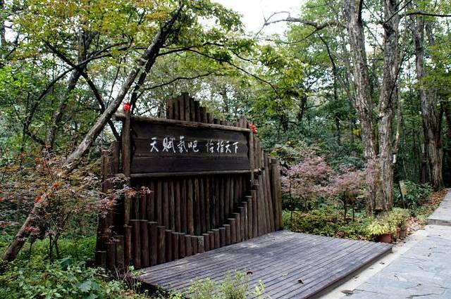 鸡公山森林公园