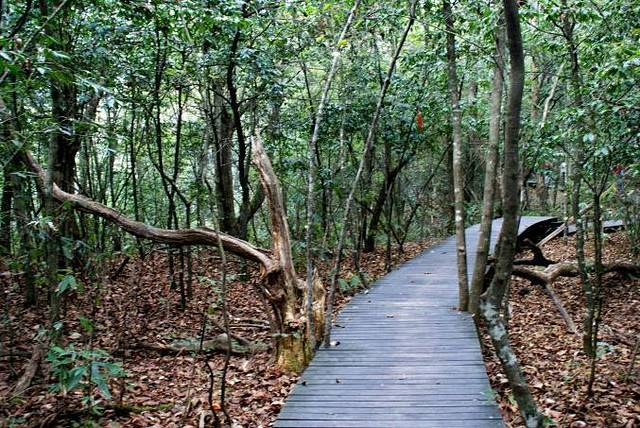 鸡公山森林公园