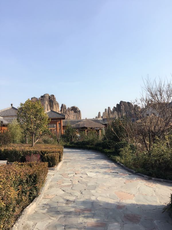 黄河故道森林公园