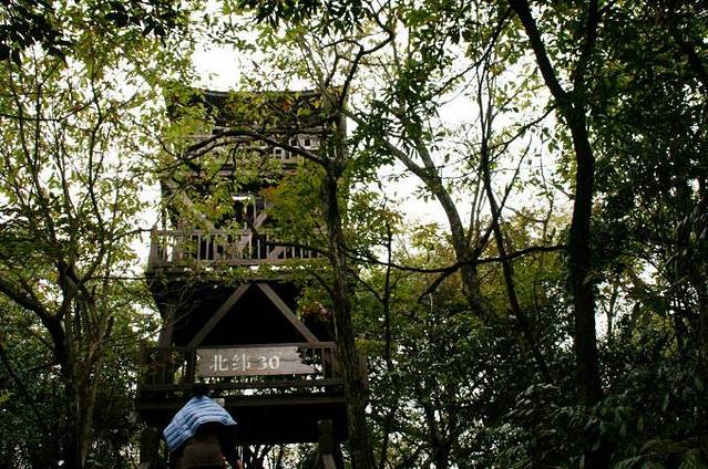 鸡公山森林公园