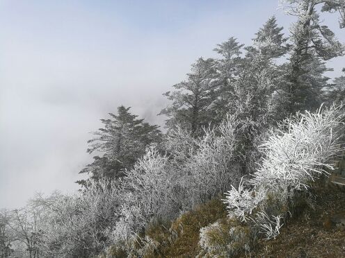 从化温泉毅华假日酒店