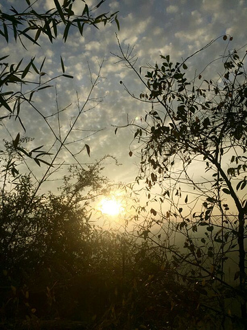 "刚好去的两天天气非常好，很适合爬山，第一天看了日落第二天看了日出云海，很满意，看日出坐索道上得..._丹霞山"的评论图片