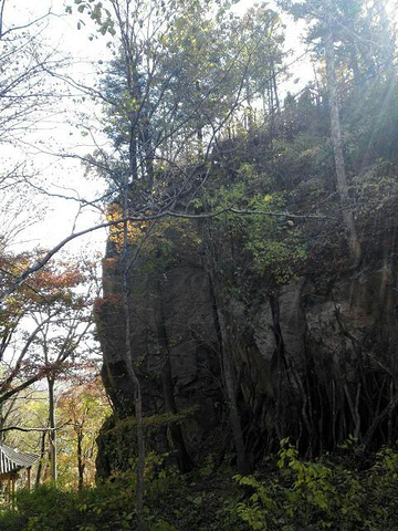 "_吊水湖森林生态风景区"的评论图片