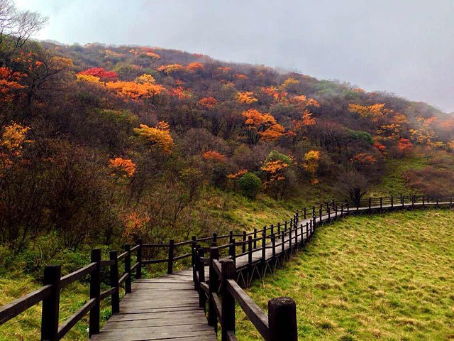 紫柏山国家森林公园