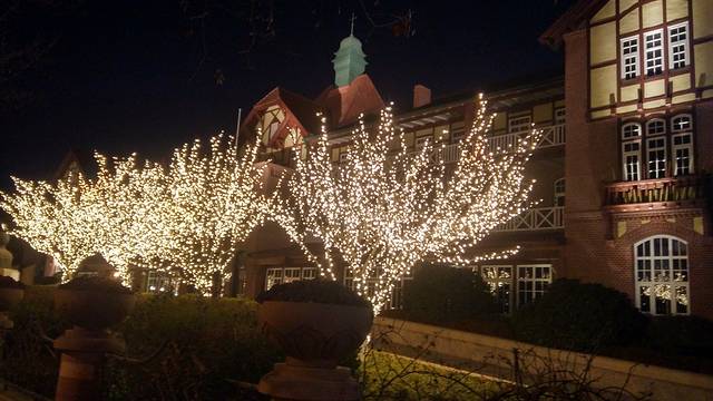 中国海洋大学(鱼山校区)