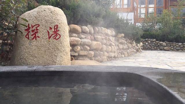 黄河故道森林公园