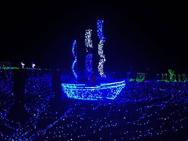 兴义润黔花海国际灯光节