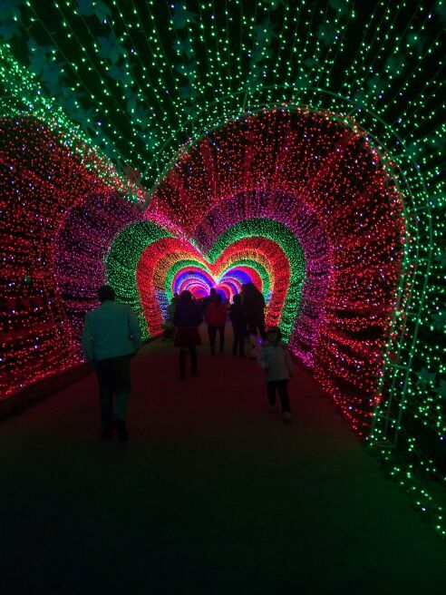 兴义润黔花海国际灯光节