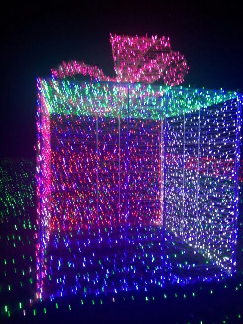 兴义润黔花海国际灯光节